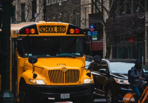 Academic Standards and Expectations in American Universities